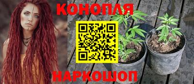 стаф Брянск