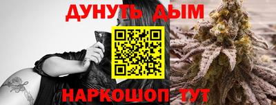 стаф Брянск