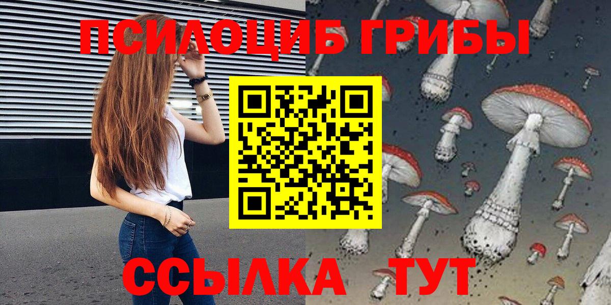 Галлюциногенные грибы Psilocybine cubensis Ачинск