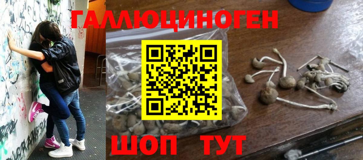 Ачинск  Галлюциногенные грибы Psilocybe  Вход с VPN 